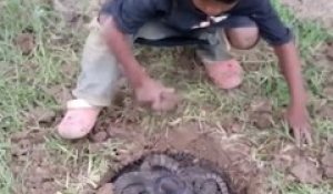 Ce gamin indonésien nous montre comment faire un piège à serpents ultra efficace