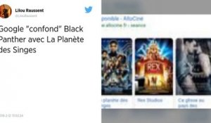 Allociné et Google piégés, le film Black Panther « confondu » avec La Planète des singes !