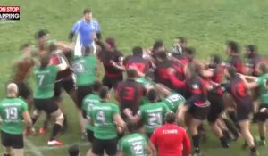 Bagarre générale lors d'un match de rugby (vidéo)