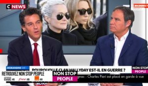 Morandini Live - Laura Smet et David Hallyday : leurs situations financières évoquées (vidéo)