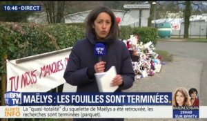 Maëlys: des vêtements de la fillette retrouvées dans la zone de recherche