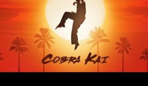 Cobra Kai : Le teaser de la suite de Karaté Kid