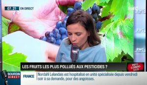 Dupin Quotidien : Quels sont les fruits et légumes les plus pollués aux pesticides ? - 20/02