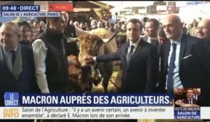 Macron pose avec Haute, la vache-égérie du Salon de l’agriculture