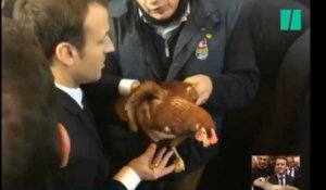 Emmanuel Macron a adopté une poule au Salon de l'Agriculture et BFMTV l'a invitée en plateau (la poule)