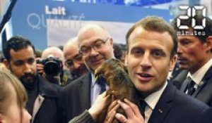 Emmanuel Macron a visité le Salon de l'agriculture