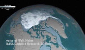 La vidéo effrayante de la fonte du Pôle Nord entre 1984 et 2016