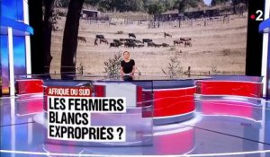 Afrique du Sud : les fermiers blancs expropriés ?