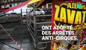 À Paris, des chameaux et des zèbres sur les pavés de République pour s'opposer aux anti-cirques