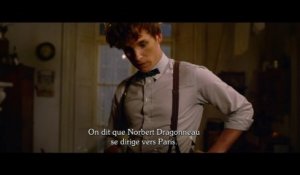 "Les Animaux Fantastiques 2 - Les Crimes de Grindelwald" : Bande-annonce officielle (VOSTFR)