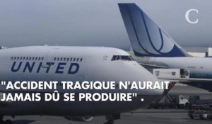 Un steward force une passagère à mettre son chien dans le coffre à bagages d'un avion : l'animal meurt en plein vol