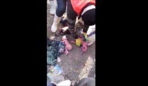 2 nouveaux-nés abandonnés sur une plage pleine de détritus sauvés de justesse