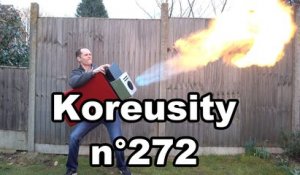 Koreusity n°272