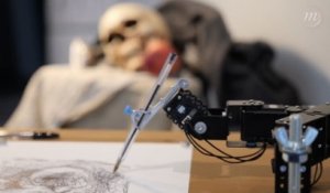 Artistes et Robots : coup d'oeil sur "Human Study #2 Vanity" (P.Tresset)