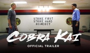 Cobra Kai : bande-annonce de la suite de Karaté Kid