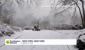 Marcher dans Central Park recouvert de neige ! New York 2018