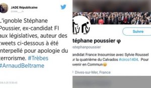 Mort d'Arnaud Beltrame. Un ex-candidat France Insoumise en garde à vue pour apologie du terrorisme.