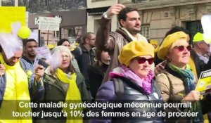 Paris : marche pour informer sur l'endométriose