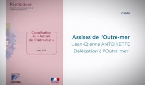 Résolution portant contribution du CESE aux assises des Outre-Mer