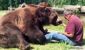 Enorme câlin entre un homme... et un OURS géant !