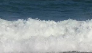 Adrénaline - Surf : Rip Curl Women's Pro Bells Beach, Women's Championship Tour - Round 2 heat 3