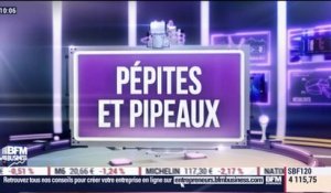Pépites & Pipeaux: Bastide Le Confort - 03/04