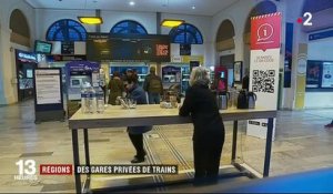 Grève SNCF : des gares privées de trains en région