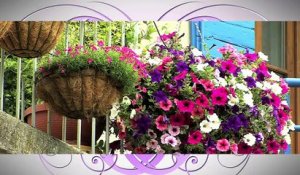 A FLEUR DE VILLE : A Fleur de Ville à Meyrargues