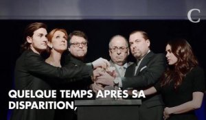 "Maman, je t'aime tellement" : le tendre message de René-Charles à Céline Dion