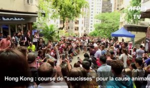 Hong Kong: course de "saucisses" pour la cause animale