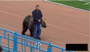Russie : un Ours VIVANT à un match de Football !