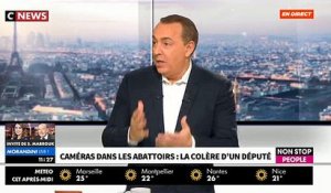 EXCLU - Caméras dans les abattoirs: Le député Olivier Falorni lance en direct un appel à Emmanuel Macron - VIDEO