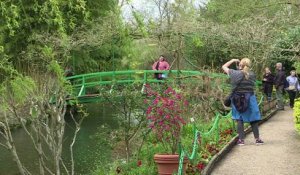 Giverny: visite du paradis fleuri de Claude Monet