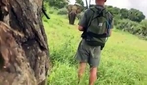 Un guide réussit à arrêter un éléphant qui est en train de charger son groupe