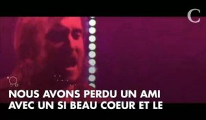 David Guetta rend à nouveau hommage à Avicii pendant un concert
