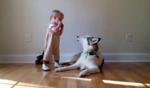 Ce bébé qui joue de l'harmonica et son chien forment un excellent duo