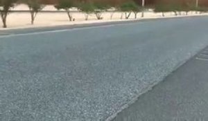 Tempête de sable au Kuwait : un mur arrive sur vous !