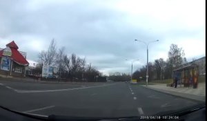 Road Rage... d'oiseaux au milieu de la route en Russie !