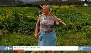 Buzz : Les internautes ont trouvé le sosie de Donald Trump, elle est agricultrice en Espagne ! Regardez