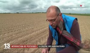 Interdiction des néonicotinoïdes : des agriculteurs en colère contre Bruxelles