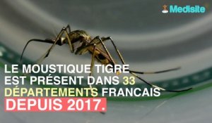 Val-de-Marne: face à la prolifération du moustique tigre, une