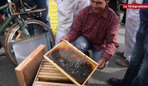 Pontivy. Un convoi de ruches mortes du Faouët à Rennes