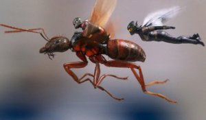 Ant-Man et La Guêpe - Bande-annonce officielle (VF)
