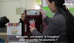 Mongolie: un "cocktail à l'oxygène" contre la pollution ?