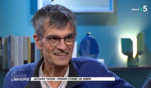 « Penser comme un arbre », la proposition de Jacques Tassin