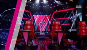 The Voice 7 : Amir invité de la finale avec Mylène Farmer et Maître Gims