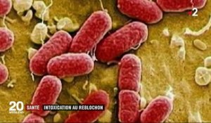 Reblochon contaminé : sept enfants infectés
