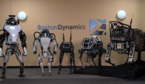 Robots Atlas : leur étonnante évolution