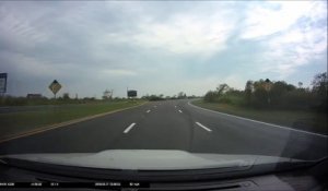 Une mouette lâche une coquillage sur le pare-brise d'une voiture et le brise