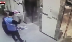 Chine : Un livreur sauve un chien emporté par un ascenseur (Vidéo)